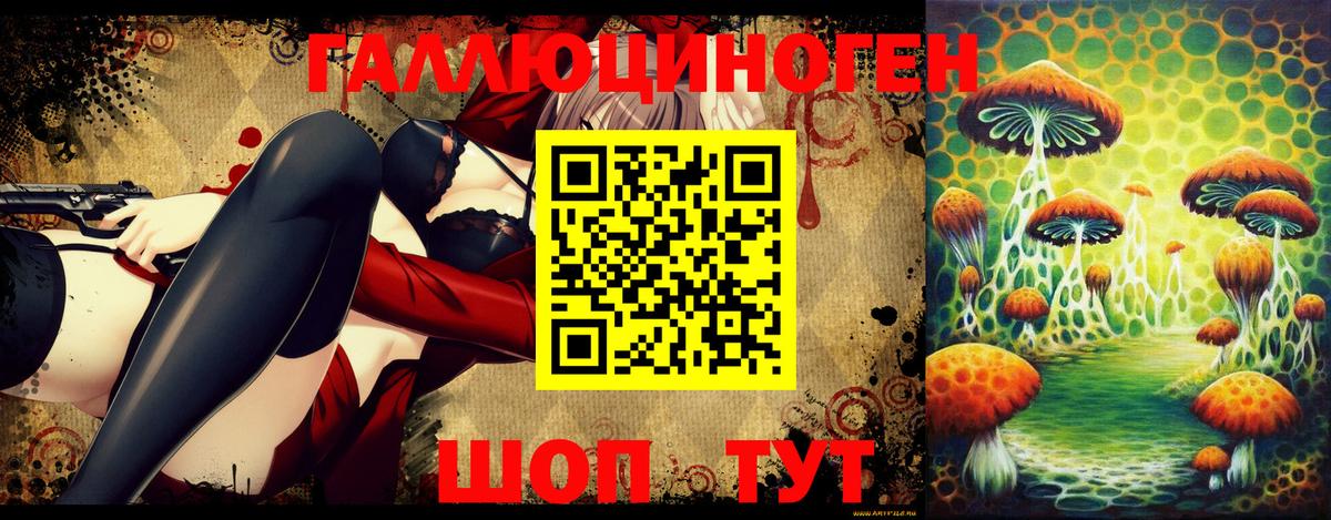 Гурьевск  Псилоцибиновые грибы Magic Shrooms  Псилоцибиновые грибы GOLDEN TEACHER  Вход с VPN 